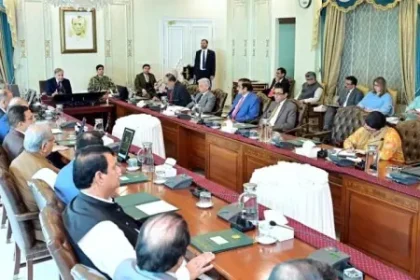 Cabinet ratifies amendments to boost women’s role in business, education