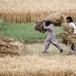 Punjab-Balochistan row over seed supply deepens