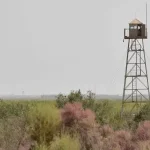 Uzbekistan reopens Afghan border after four years