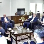 Chinese group eyes setting up solar panel plant in Pakistan