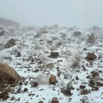 Saudi Arabia, Qatar have a white winter as snowfall hits northern areas