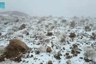 Saudi Arabia, Qatar have a white winter as snowfall hits northern areas