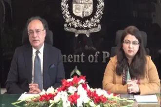 IT minister says spectrum auction to be completed early next year, will pave way for better internet services