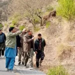 AJK minister warns forest fire offenders of strict action, seeks public help