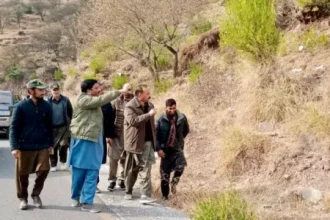 AJK minister warns forest fire offenders of strict action, seeks public help